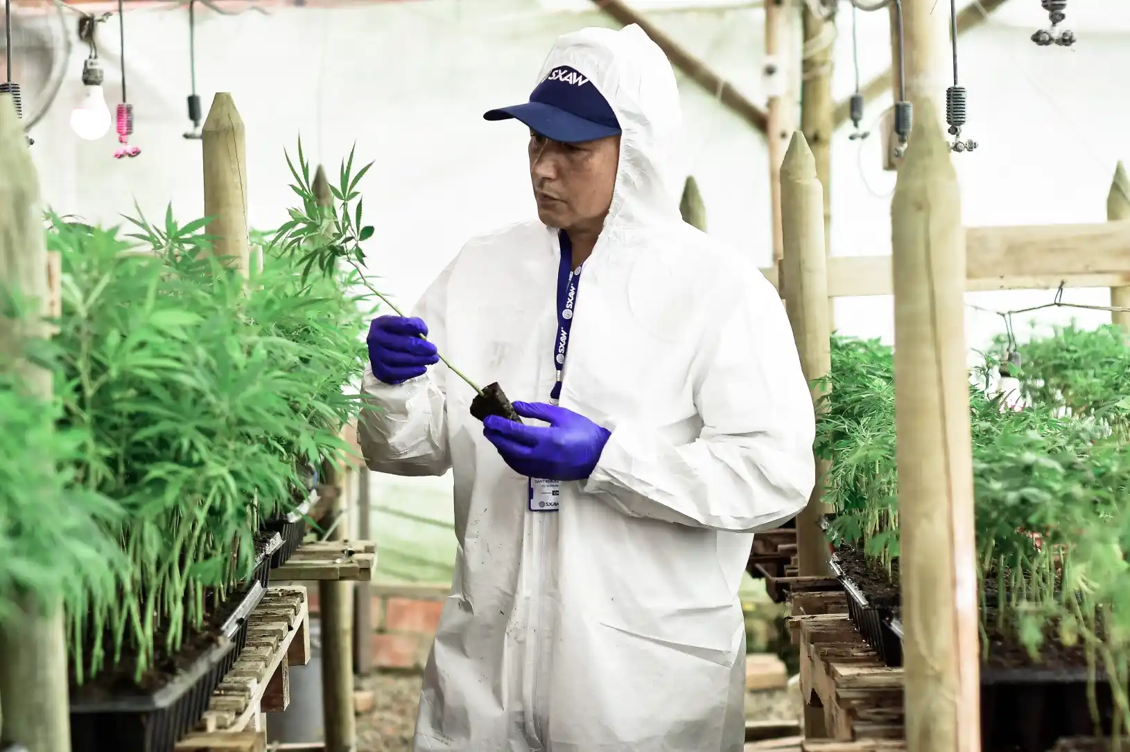 SXAW CULTIVO INSTALACIONES